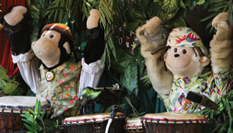 Drumming-monkeys
